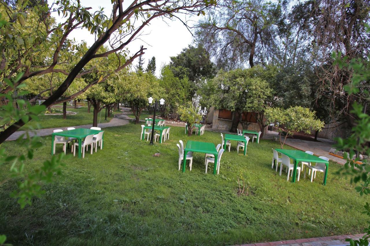 Green Valley Hotel 凯梅尔 外观 照片