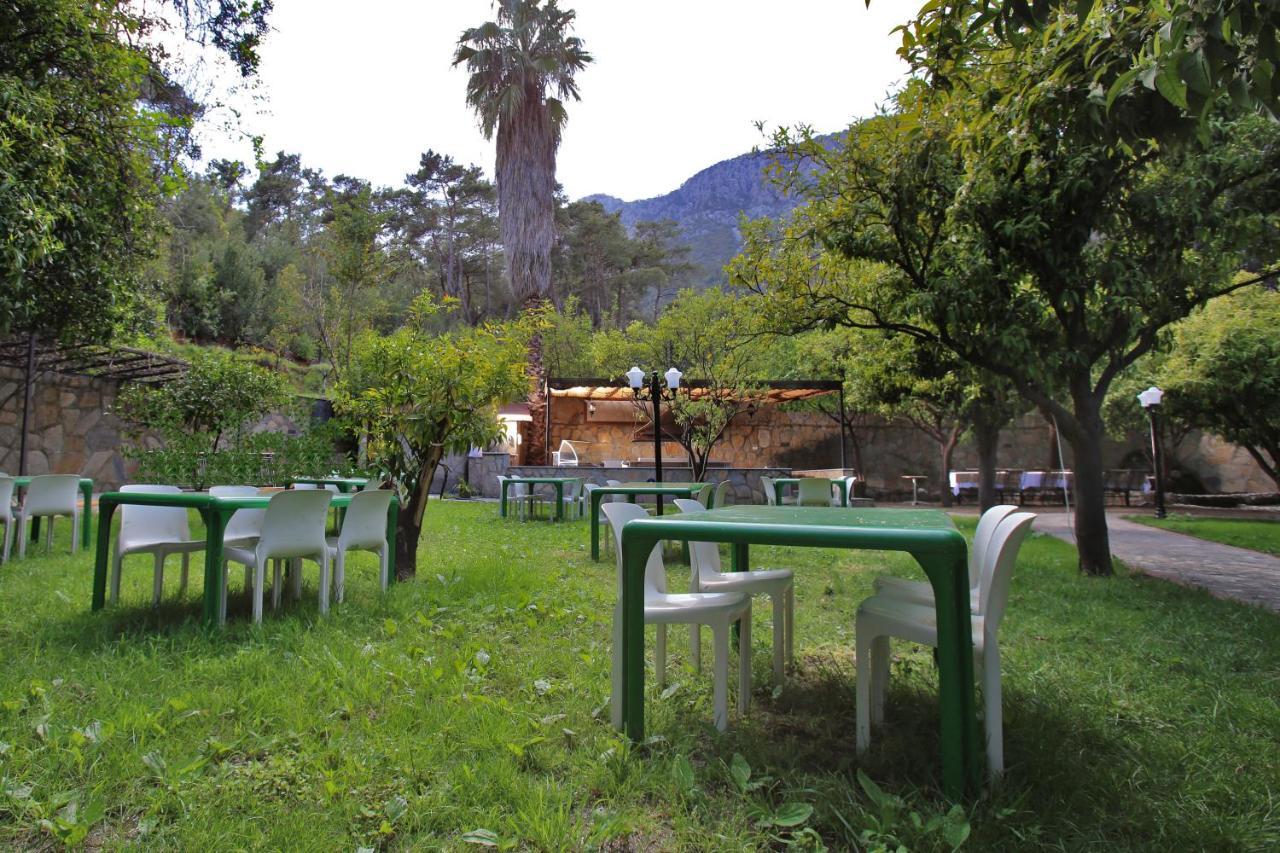 Green Valley Hotel 凯梅尔 外观 照片
