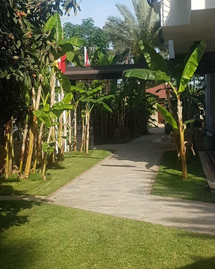 Green Valley Hotel 凯梅尔 外观 照片